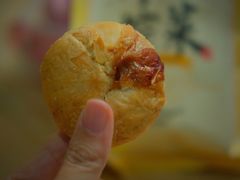 鲜肉榨菜月饼-九月生活(新市街店)