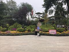 景点-莲湖公园