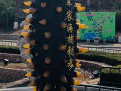 -南山公园