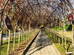 -武汉紫薇都市田园