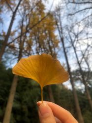 -Dr.林醫生产后修复·配方产康(南京江宁万达店)