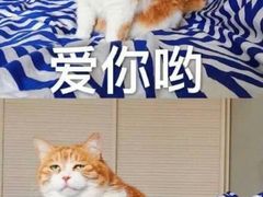 -牛男手造(地铁天虹店)