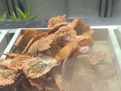 -福禧荟·海鲜自助