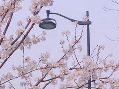 -新天地活力PARK