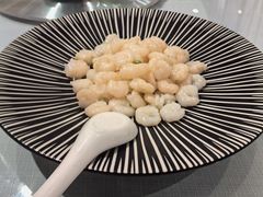 -新雅粤菜馆(南京东路店)