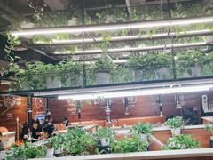 -猫爪爪原切自助烤肉(观音桥阳光世纪店)