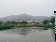 -苏州海洋馆
