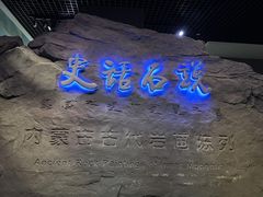 -包头博物馆
