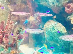 -沈阳海洋探索中心