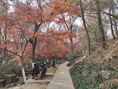 -虞山风景区