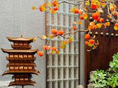 -四世同堂·京菜·烤鸭(双井店)