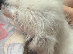 -芭比堂动物医院·CT·微创中心(新顺分院)