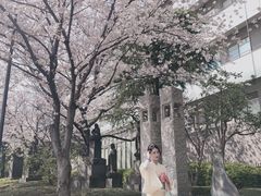 -东京浅草和服体验江户和装工房雅(浅草本店)