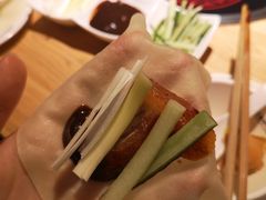 -守柴炉烤鸭(科华中路王府井店)