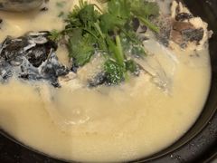 -老淳安—伴山伴湖(千岛湖开元度假村店)