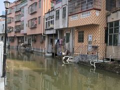 -长洲岛