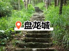-青龙山国家森林公园