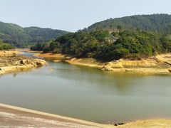 -东莞市大岭山森林公园