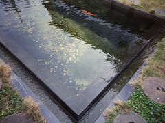-邊渡咖啡