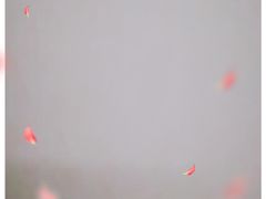 -七娘山