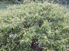 android_upload_pic-千岛湖王子谷漂流