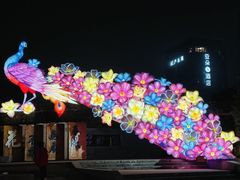 -武汉园博园(武汉自然博物馆)