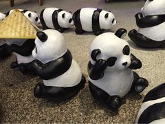 熊猫展-长影旧址博物馆