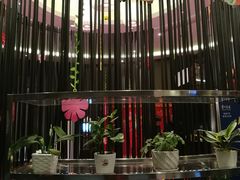 景观位-眉州东坡(北苑华贸店)