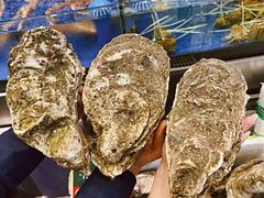-飞尝蚝·顺德菜·鱼生(顺德总店)