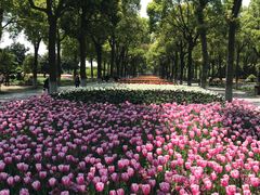 -上海鲜花港