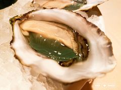 -Oyster Talks 四度蚝法餐厅