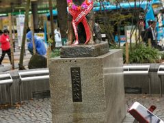 -涩谷区