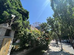 -岳阳道小学(大理道校区)