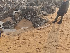 -青岛第二海水浴场