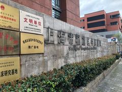 -上海市杨浦区中医医院