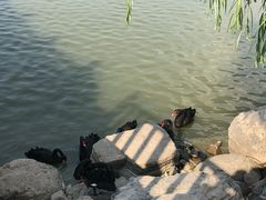 -天津东丽湖风景区