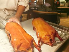 -秀儿四九城·新京菜(亚运村鸟巢店)