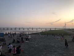-南汇新城海滩