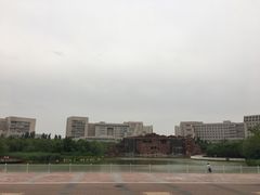 -国家动漫园