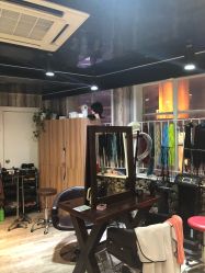 -Park Salon脏辫羽毛接发