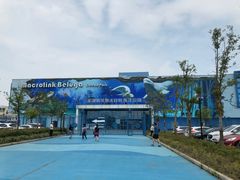 -芜湖新华联大白鲸海洋公园