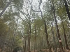 -杭州黄龙洞