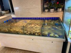 -铂丽斯国际大酒店-凯悦自助餐厅