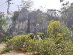 -西双版纳原始森林公园