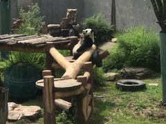 -沈阳森林动物园