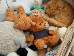 -Vanillacafe香草咖啡(银海大世界店)