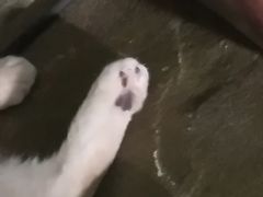 -猫猫幼稚园·撸猫·桌游·电玩