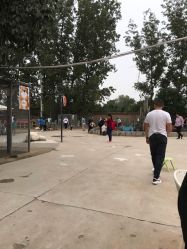 -上美四季动物农场