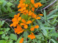 -白草畔自然风景区