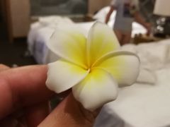 -三亚福朋喜来登酒店·大堂吧